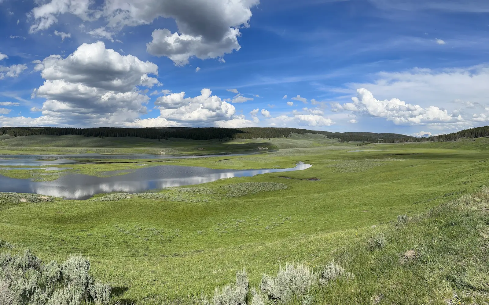 Yellowstone landscape at sunrise